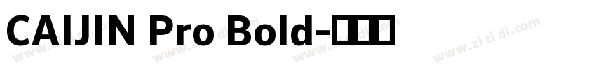 CAIJIN Pro Bold字体转换